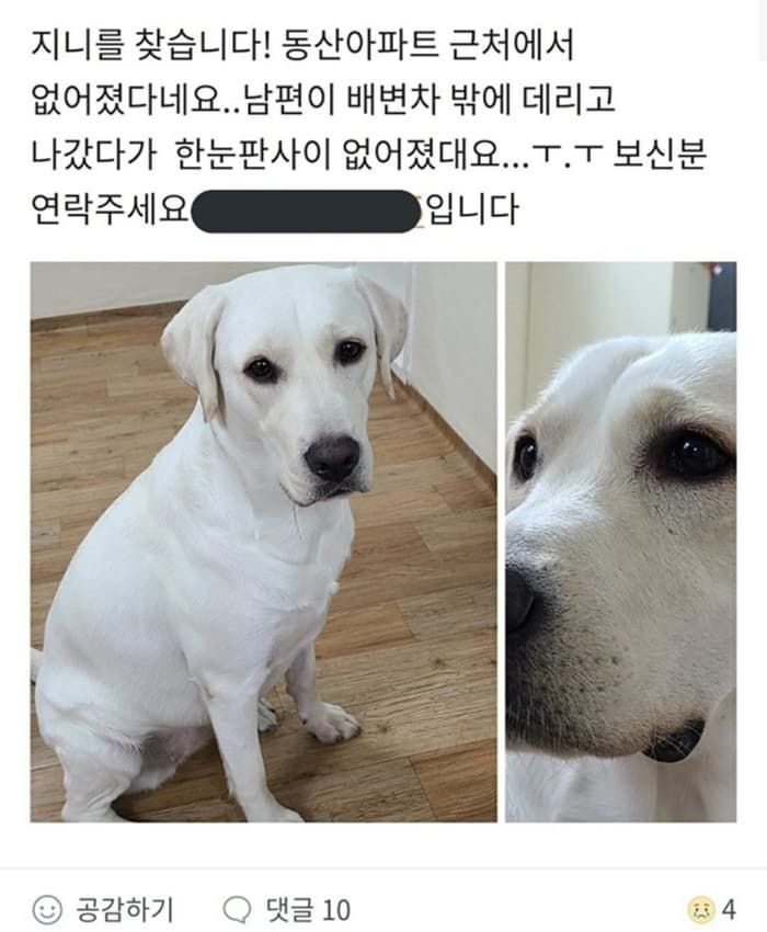 애니멀플래닛