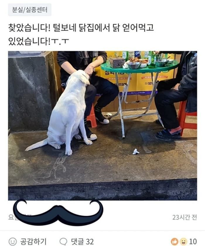 애니멀플래닛