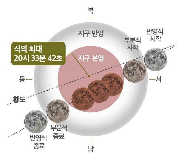 애니멀플래닛