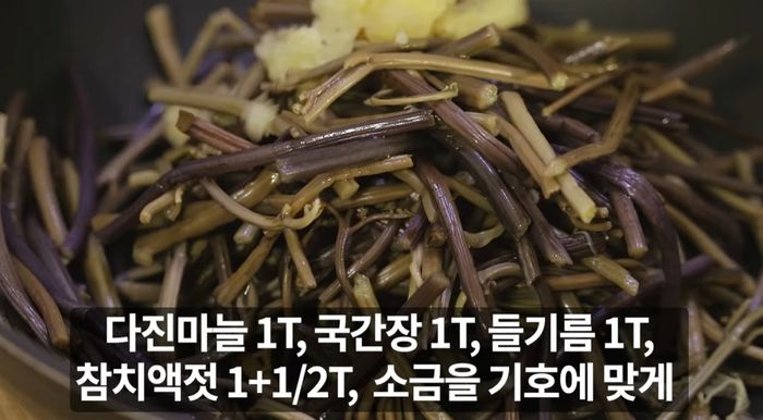애니멀플래닛
