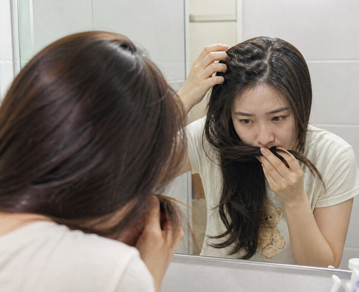애니멀플래닛