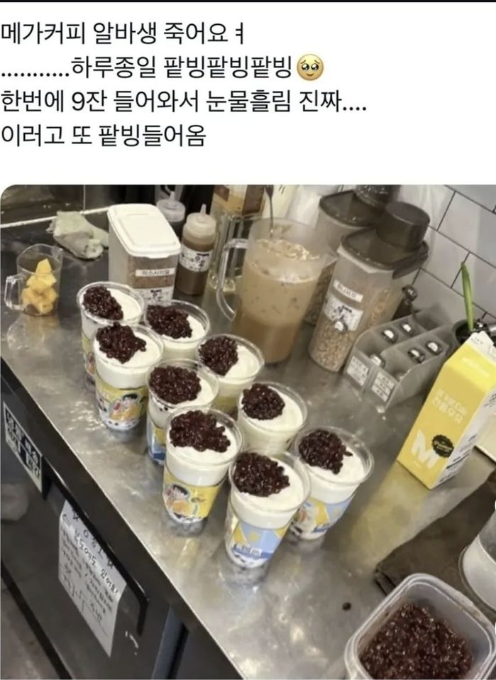 애니멀플래닛