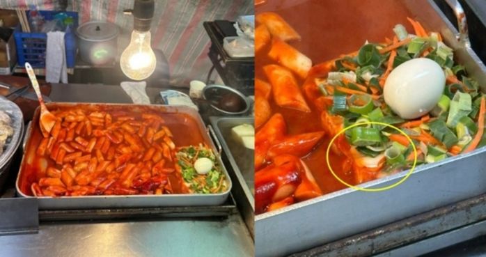 애니멀플래닛