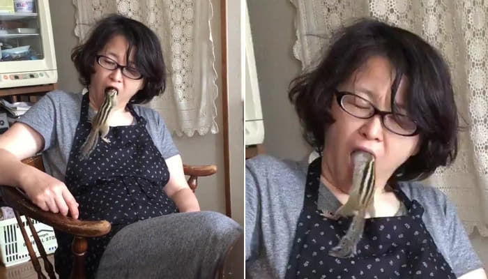 애니멀플래닛