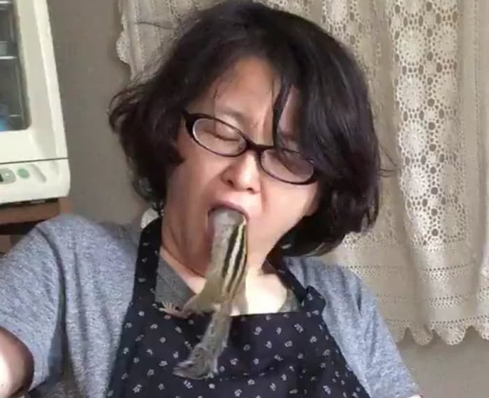 애니멀플래닛