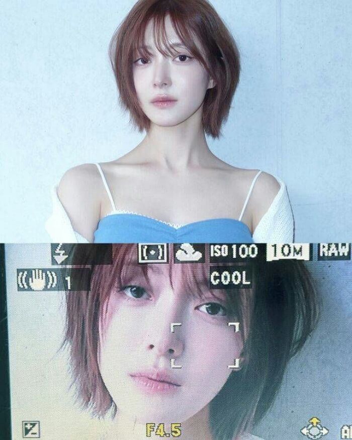 애니멀플래닛