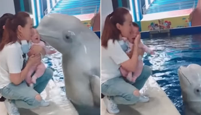 애니멀플래닛