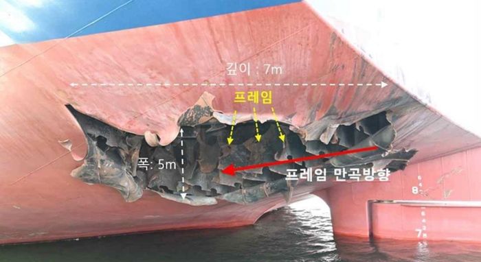 애니멀플래닛