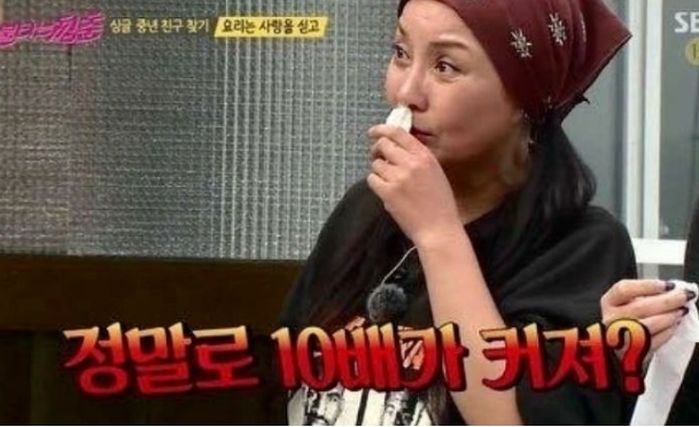 애니멀플래닛