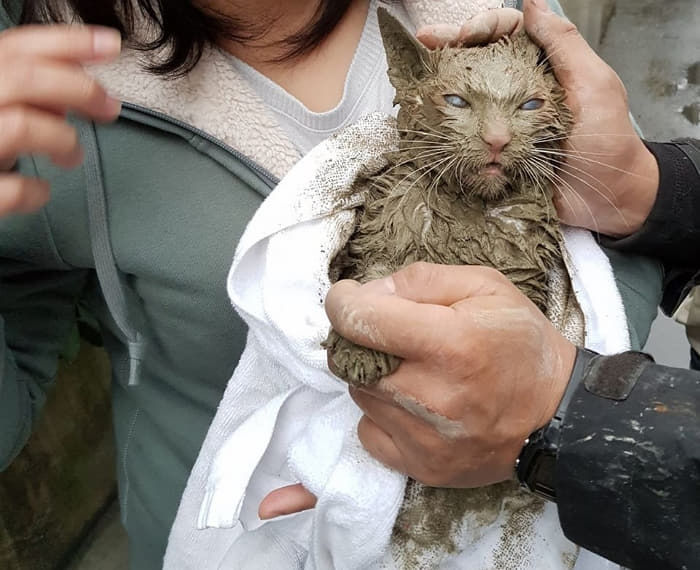 애니멀플래닛