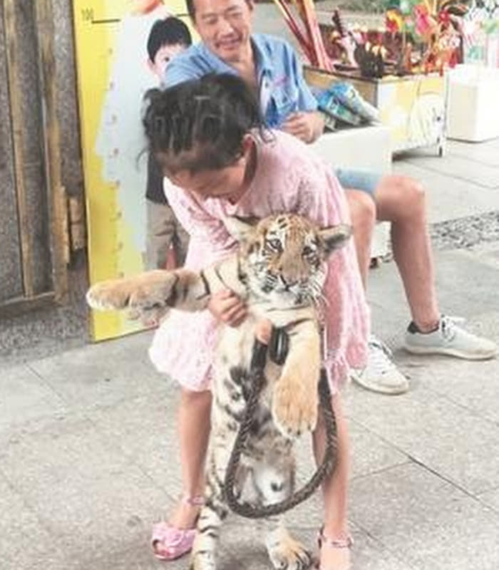 애니멀플래닛