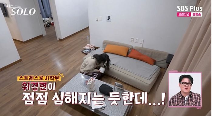 애니멀플래닛