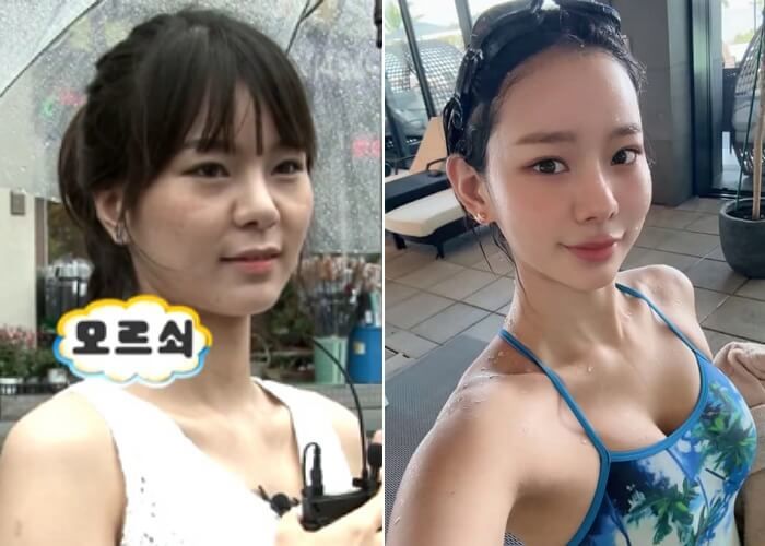 애니멀플래닛