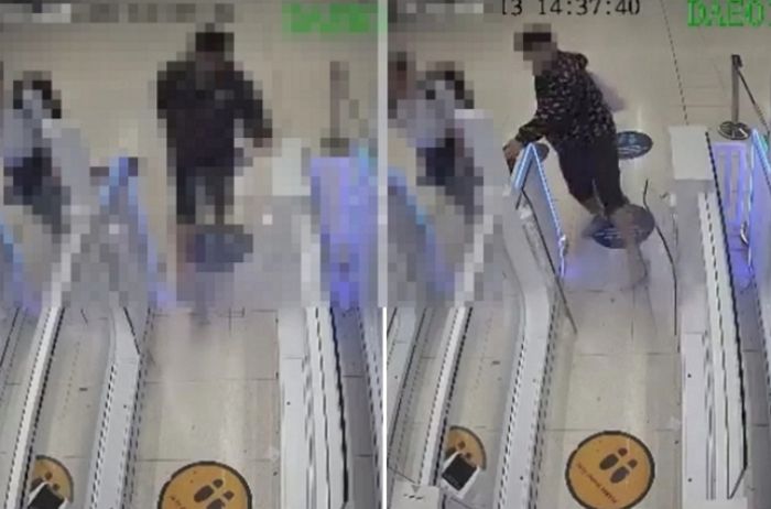 애니멀플래닛