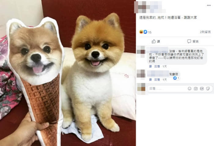 애니멀플래닛