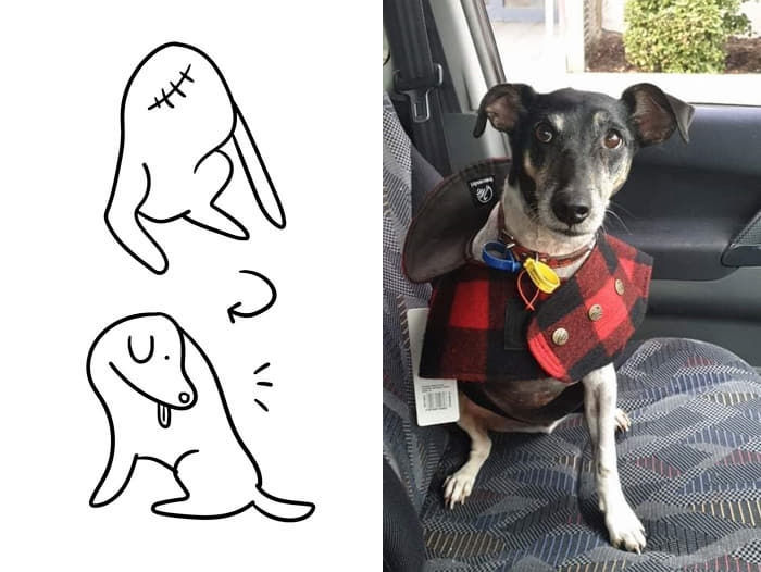 애니멀플래닛