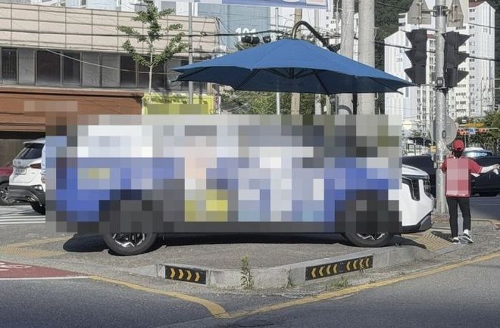 애니멀플래닛