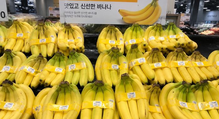 애니멀플래닛