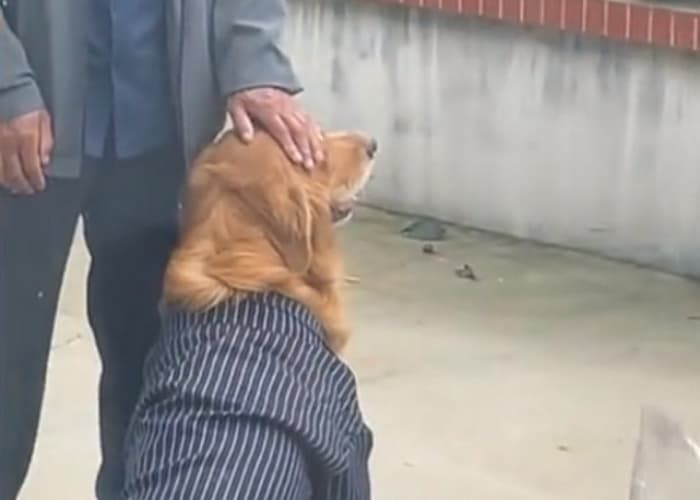 애니멀플래닛