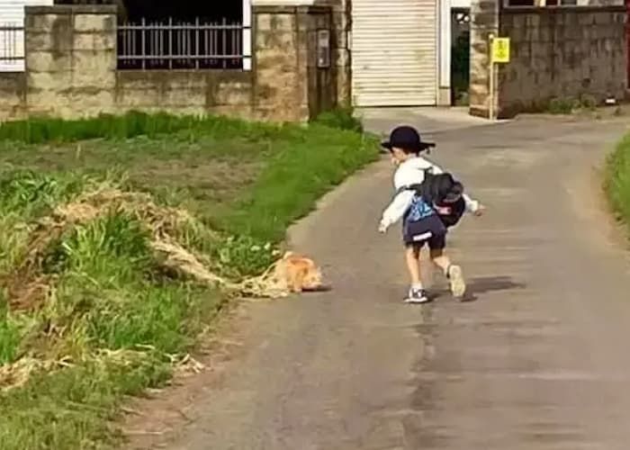 애니멀플래닛