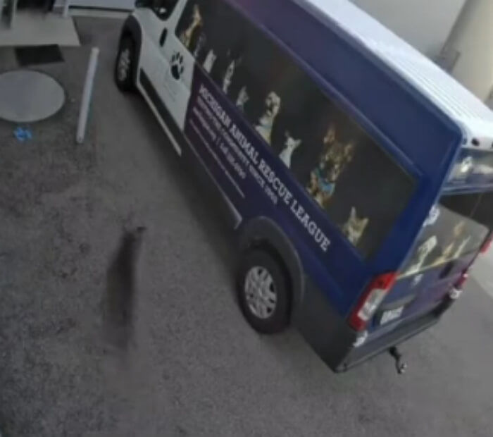 애니멀플래닛