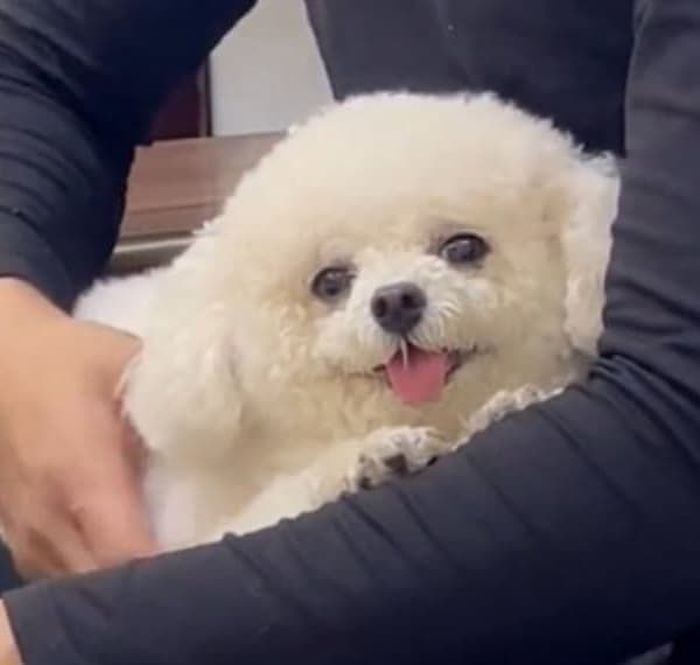 애니멀플래닛