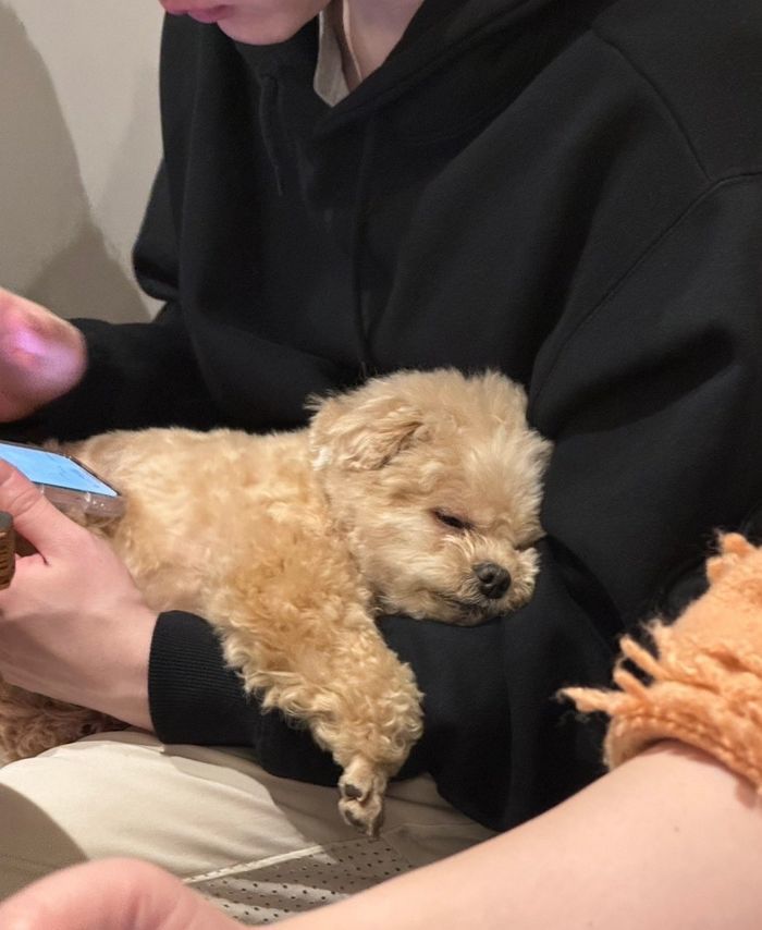 애니멀플래닛