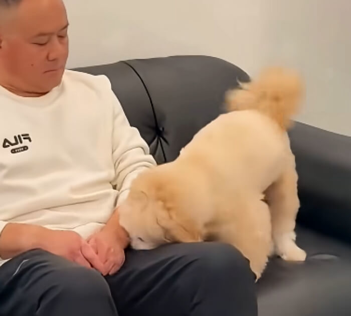 애니멀플래닛