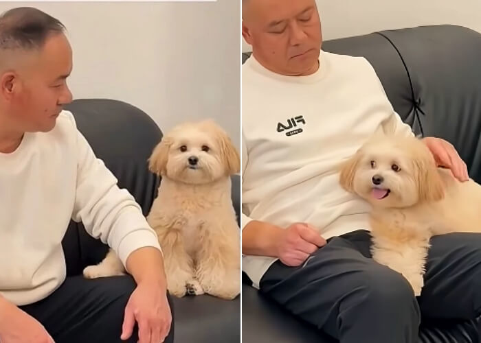 애니멀플래닛