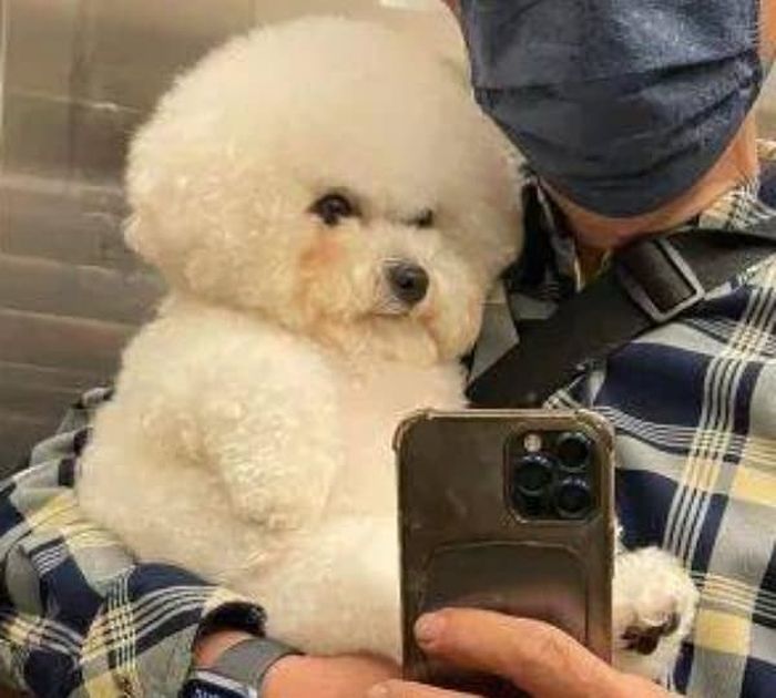 애니멀플래닛