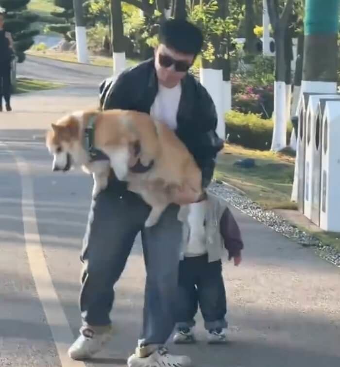 애니멀플래닛