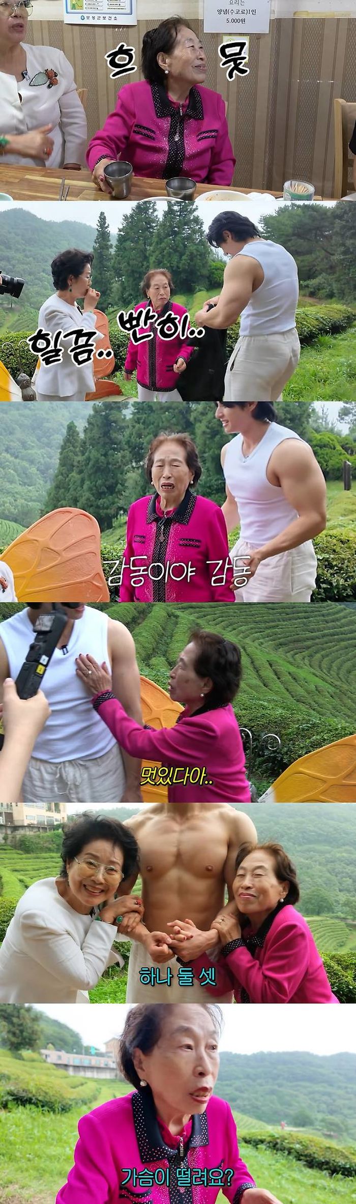 애니멀플래닛