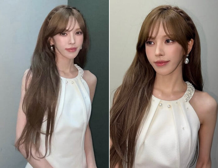 애니멀플래닛