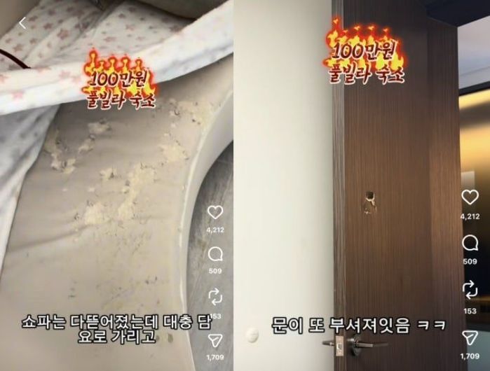 애니멀플래닛