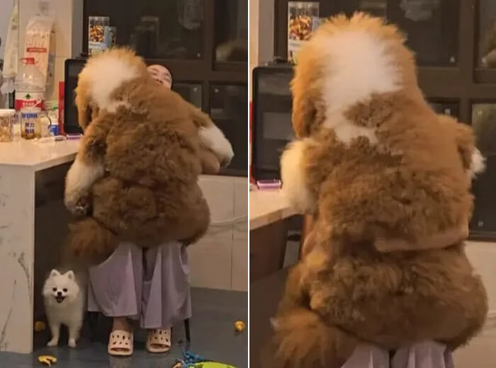 애니멀플래닛