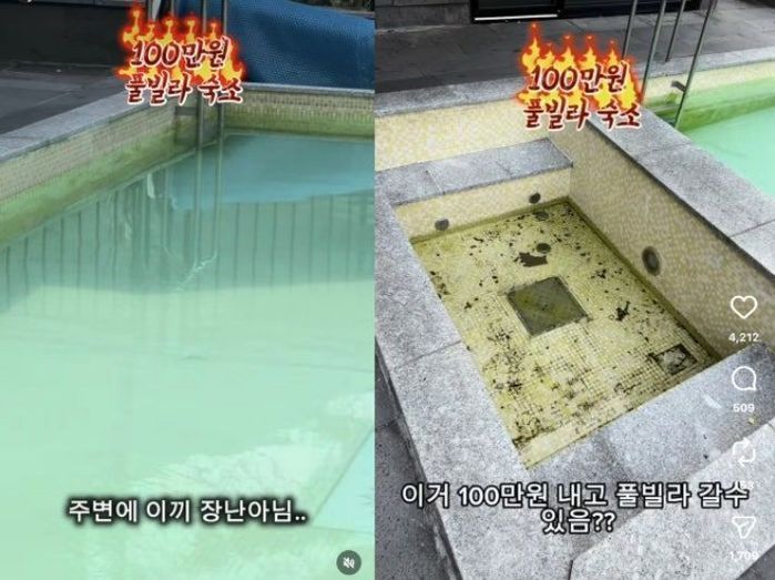 애니멀플래닛