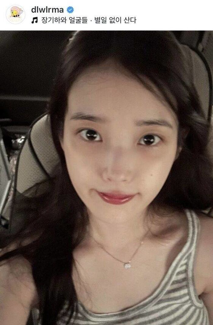애니멀플래닛