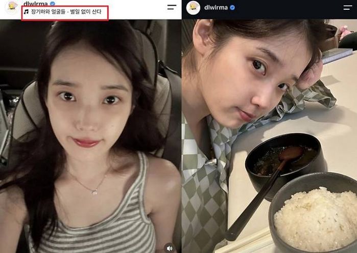 애니멀플래닛
