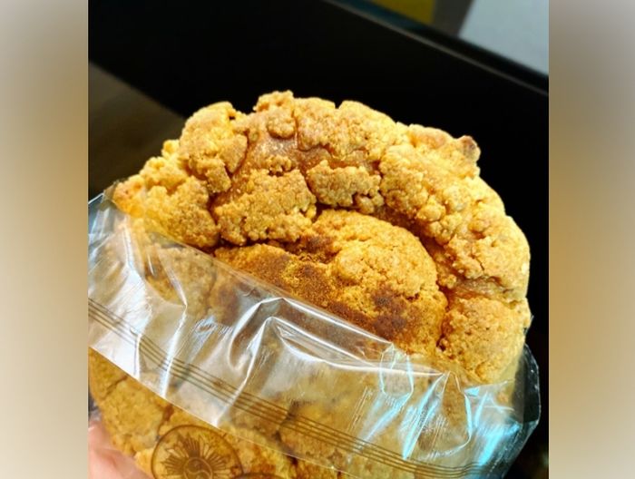 애니멀플래닛