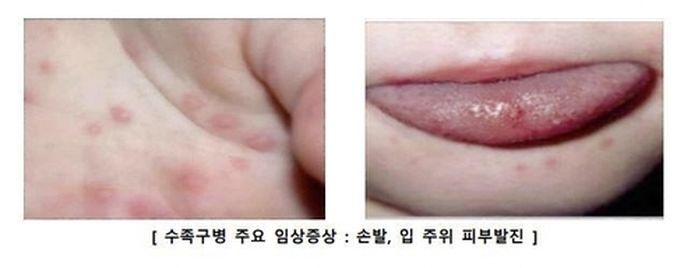 애니멀플래닛