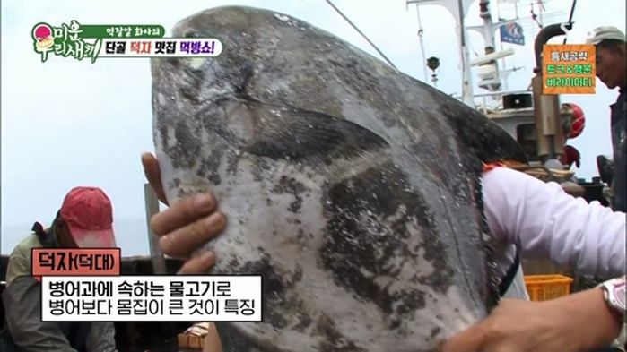 애니멀플래닛