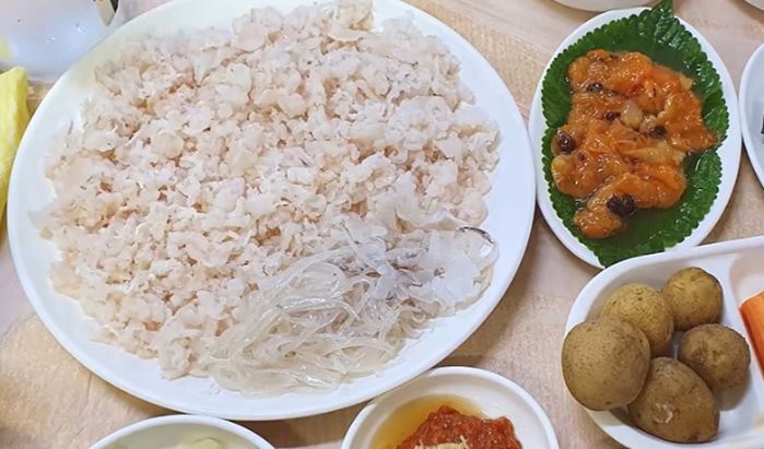애니멀플래닛