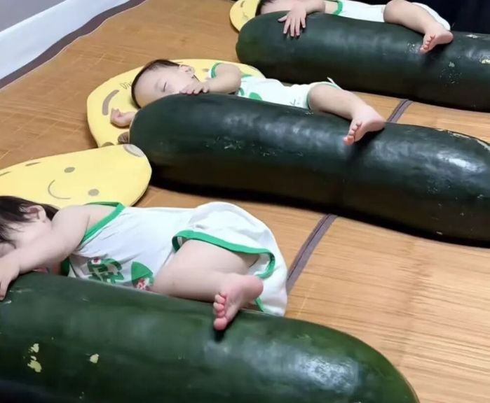 애니멀플래닛