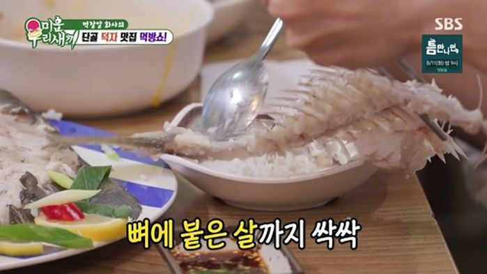 애니멀플래닛