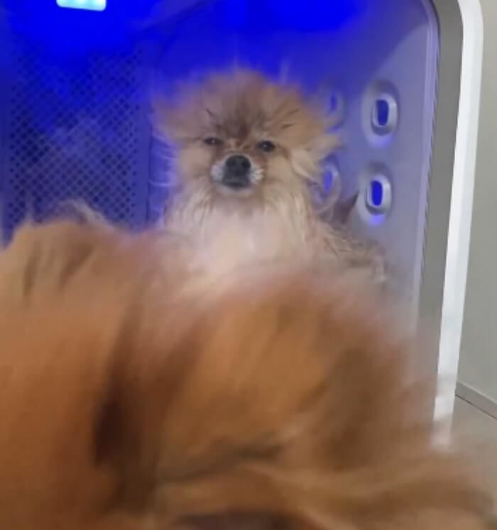 애니멀플래닛