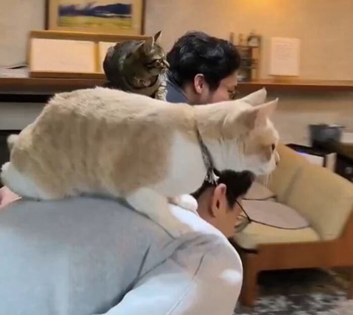 애니멀플래닛