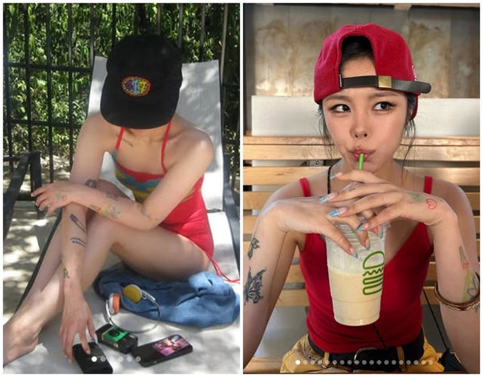 애니멀플래닛