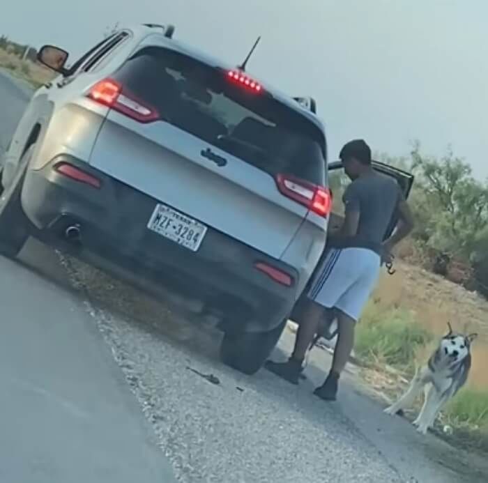애니멀플래닛