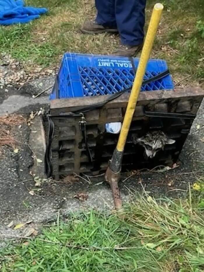 애니멀플래닛