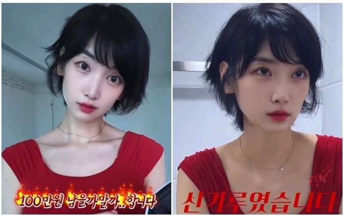 애니멀플래닛
